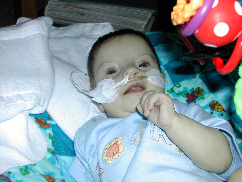 1002x745 pixels (360K)